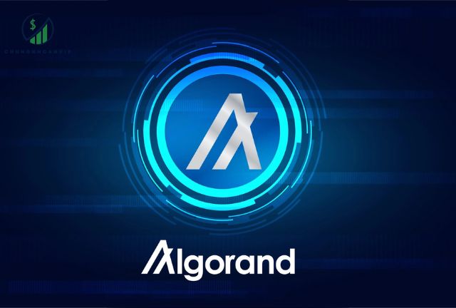 algo là coin gì