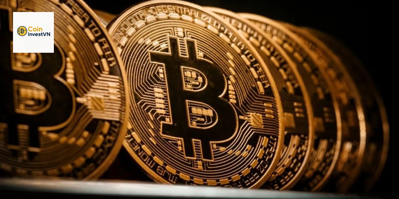 Mất Bitcoin: Nguyên nhân, Cách phòng tránh và Xử lý khi gặp phải